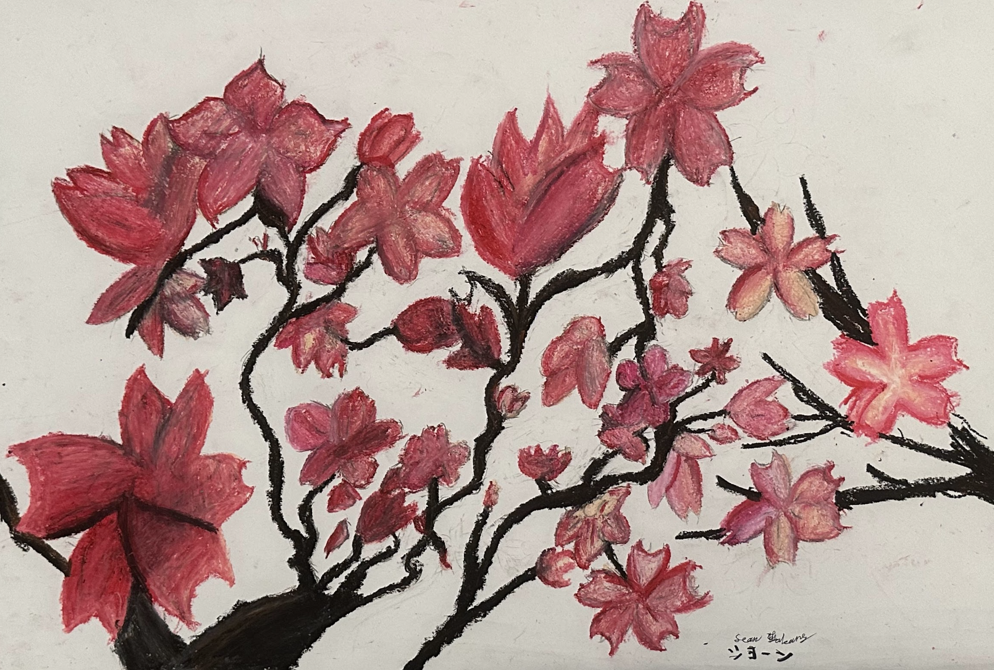 Screenshot-2023-11-26-at-2.59.47-PM